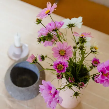 Cook Under The Open Sky In * Ebeltoft