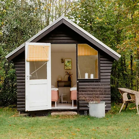 Cook Under The Open Sky In