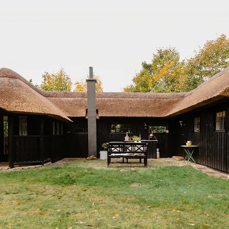 Cook Under The Open Sky In Nyaraló *