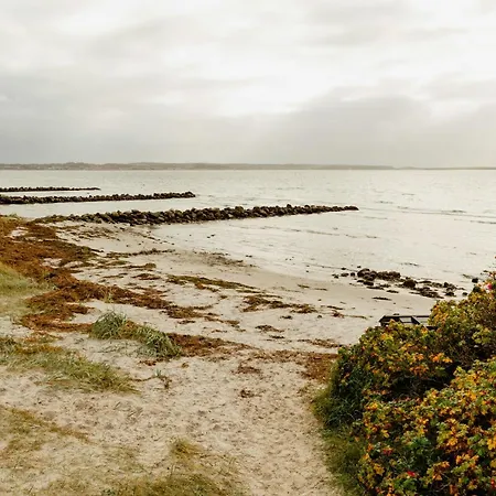 Cook Under The Open Sky In Ebeltoft