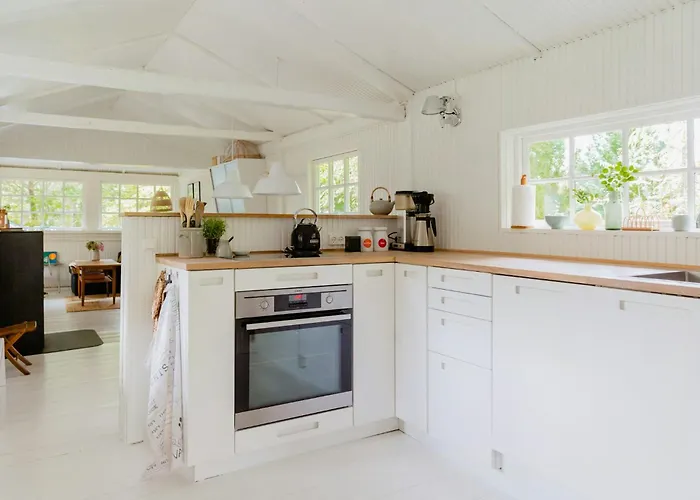 Cook Under The Open Sky In Ebeltoft