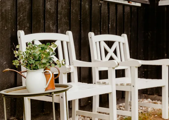 Cook Under The Open Sky In